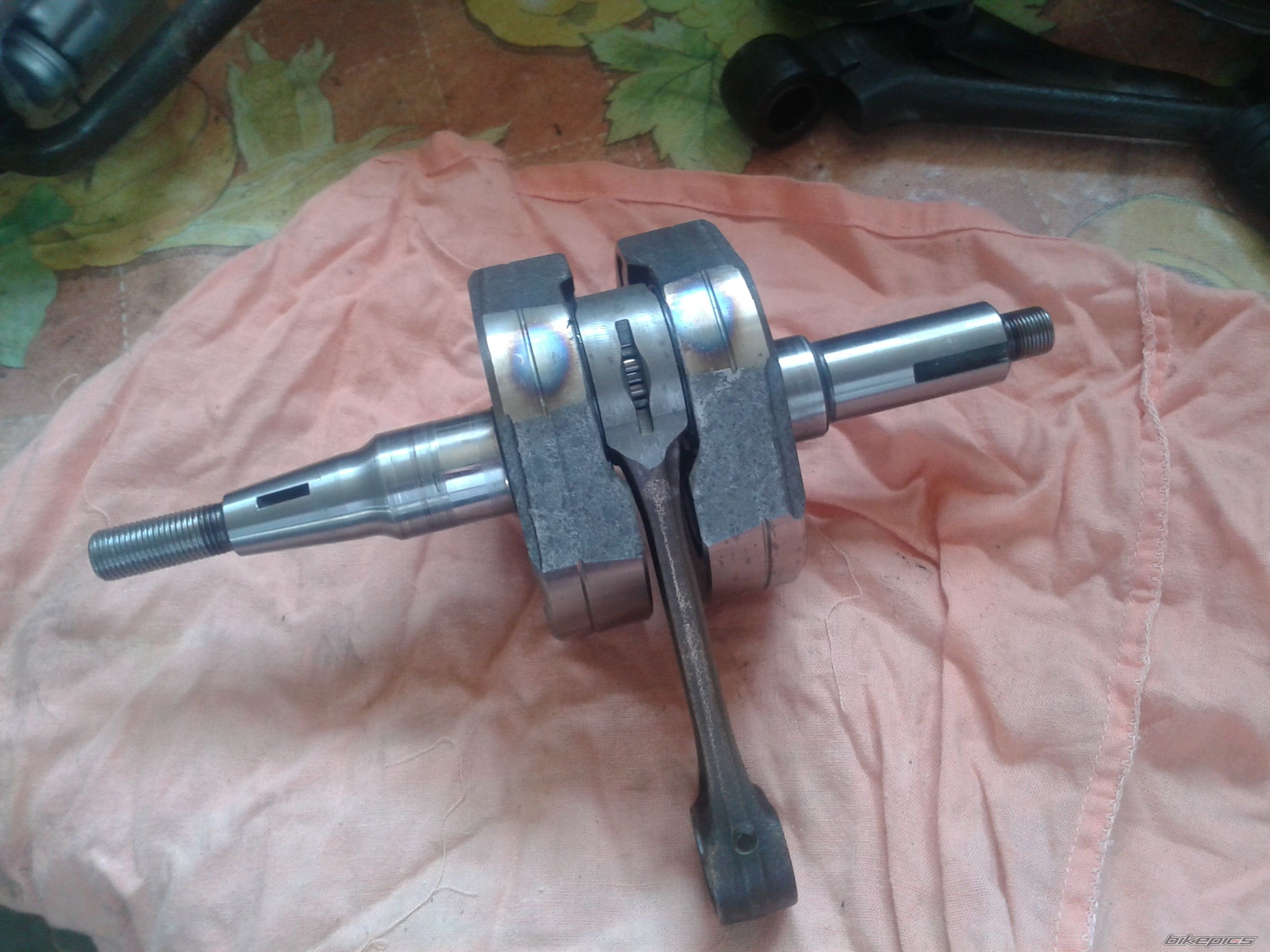 Photo 2664853