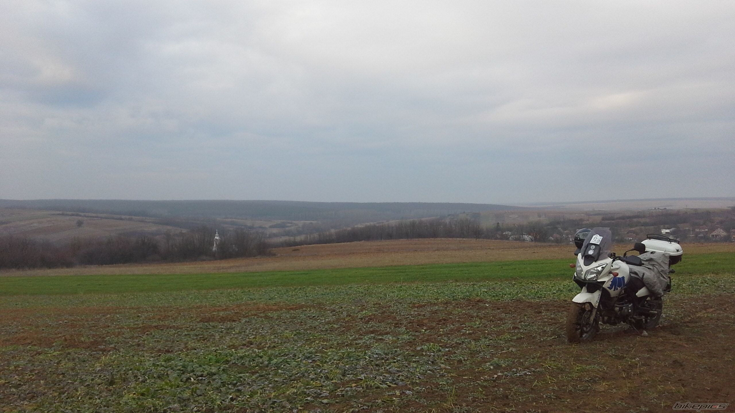Photo 2664931