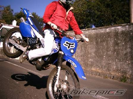Photo 266496