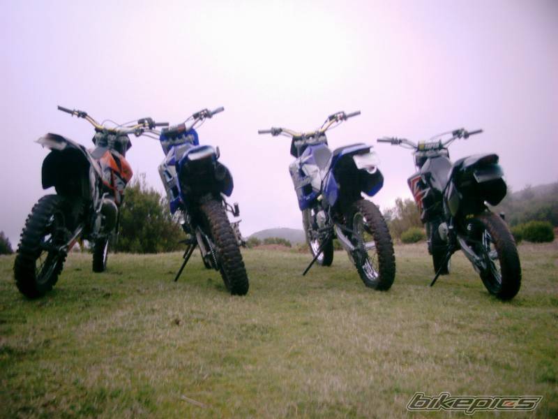 Photo 266501
