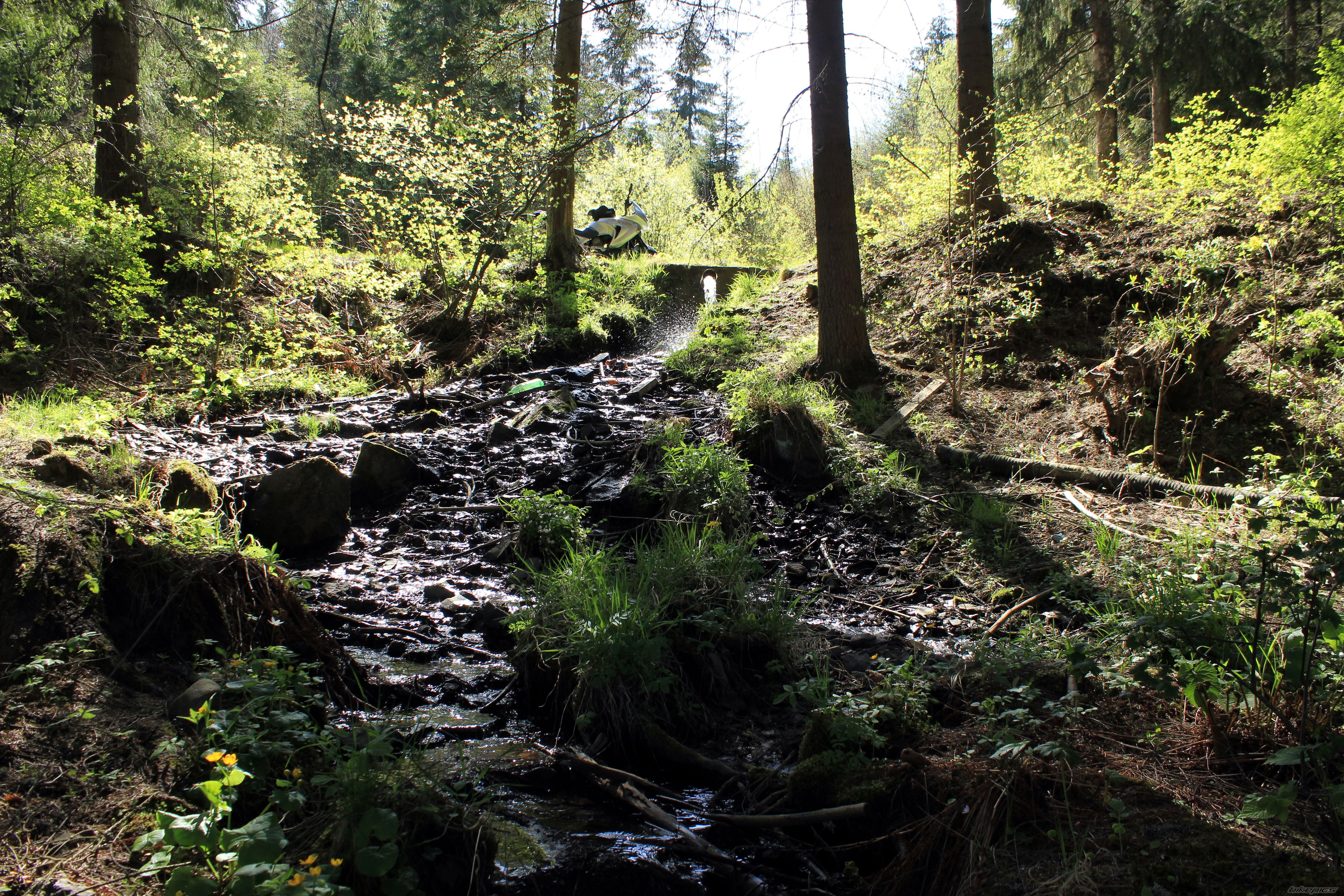 Photo 2665019