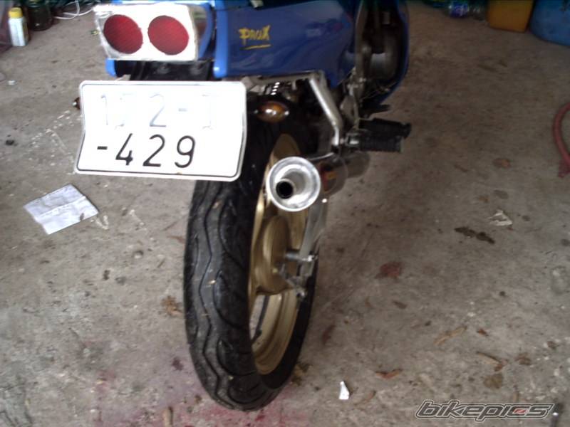 Photo 266502