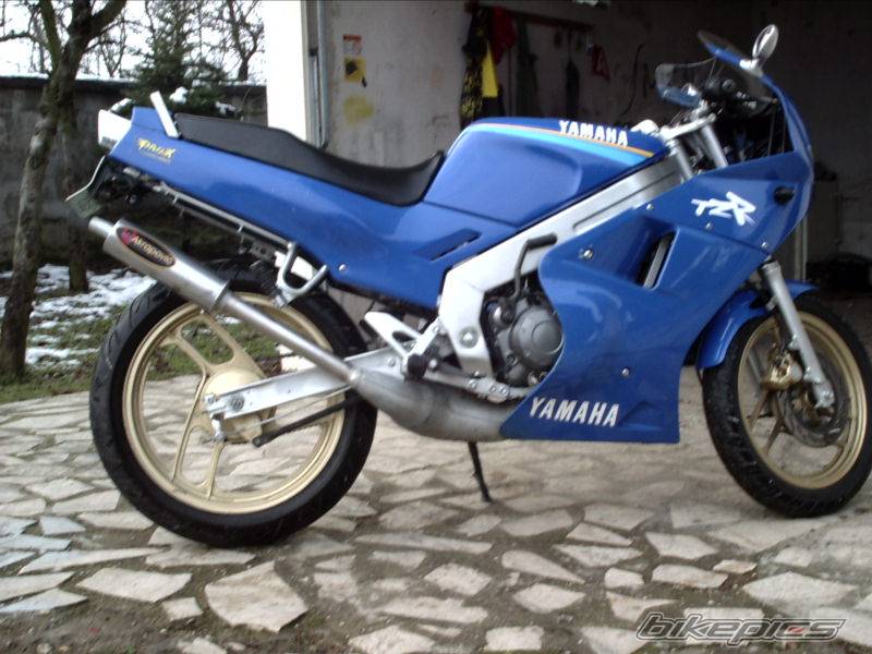 Photo 266503