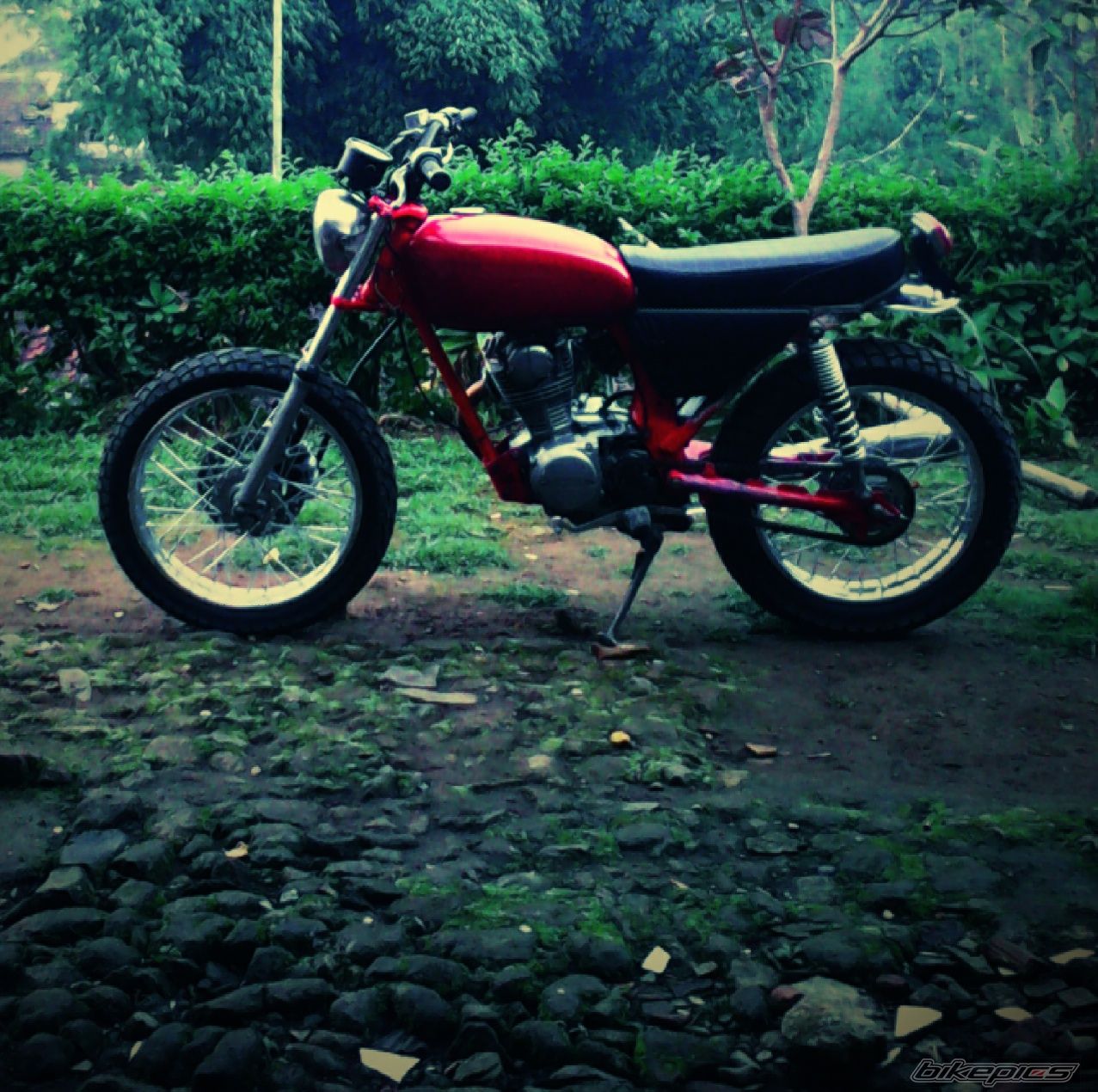 Photo 2665082