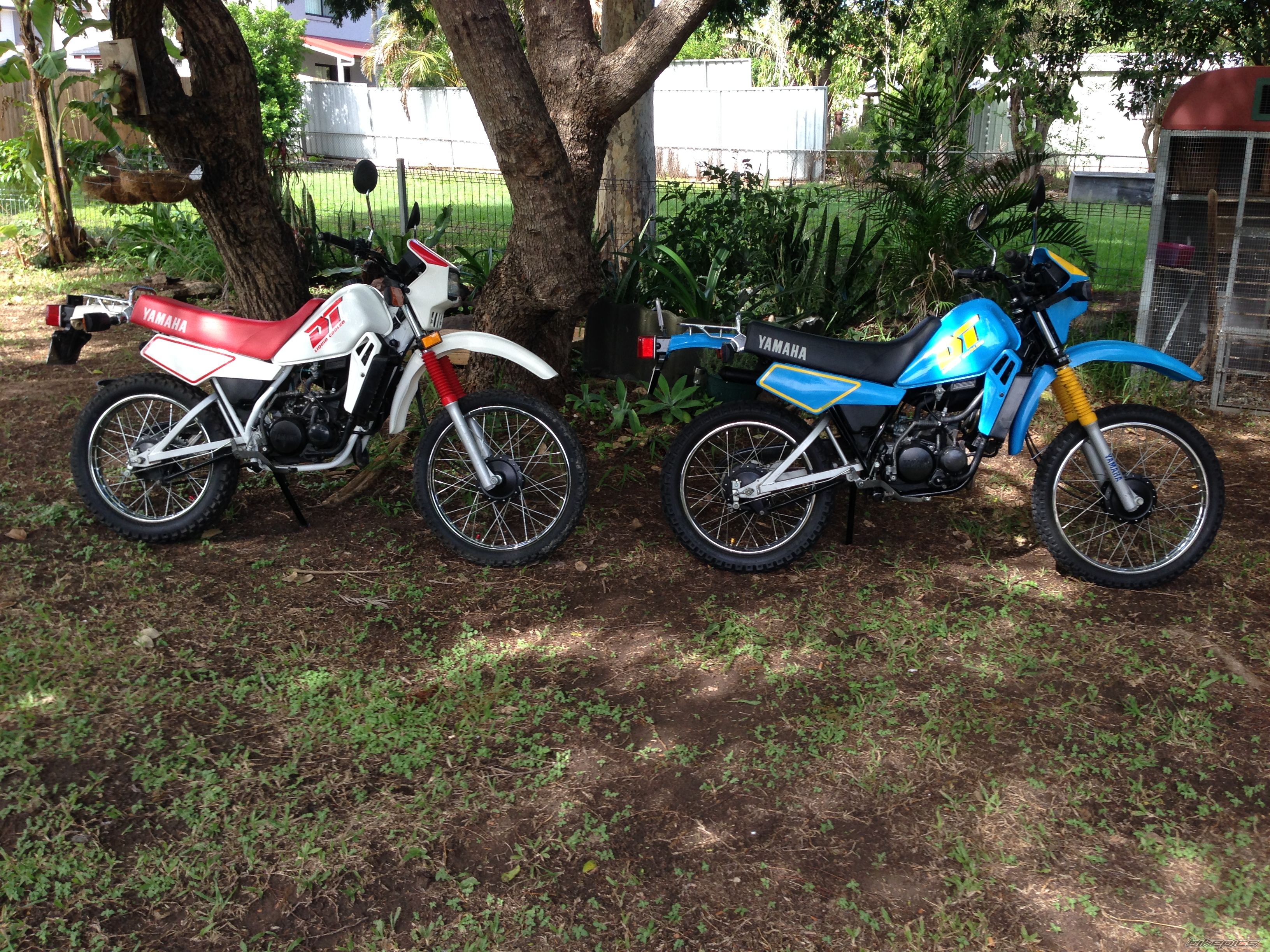 Photo 2665092