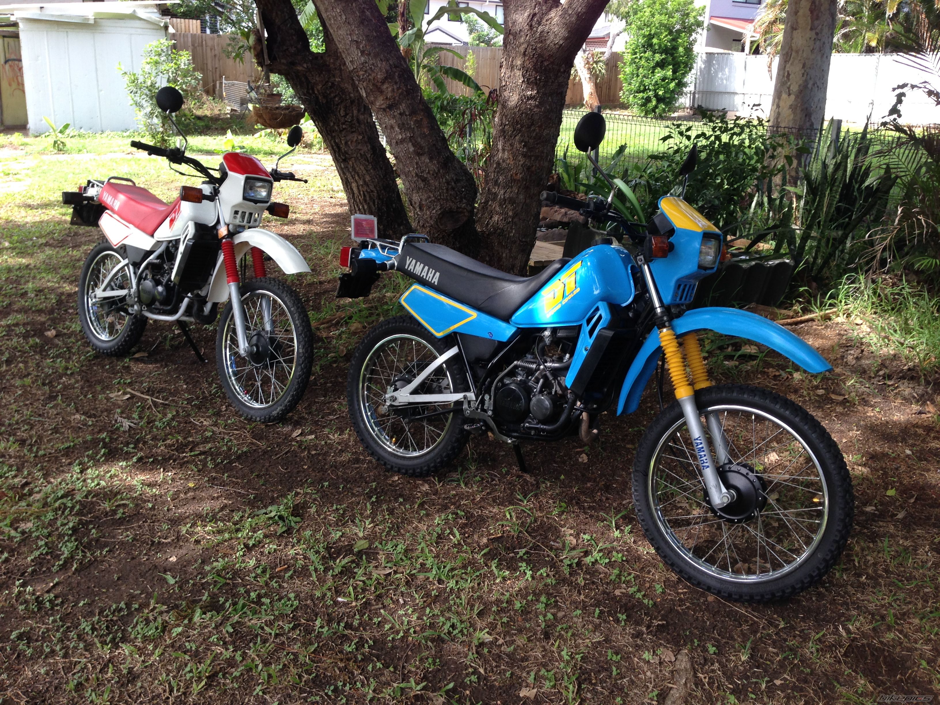 Photo 2665093