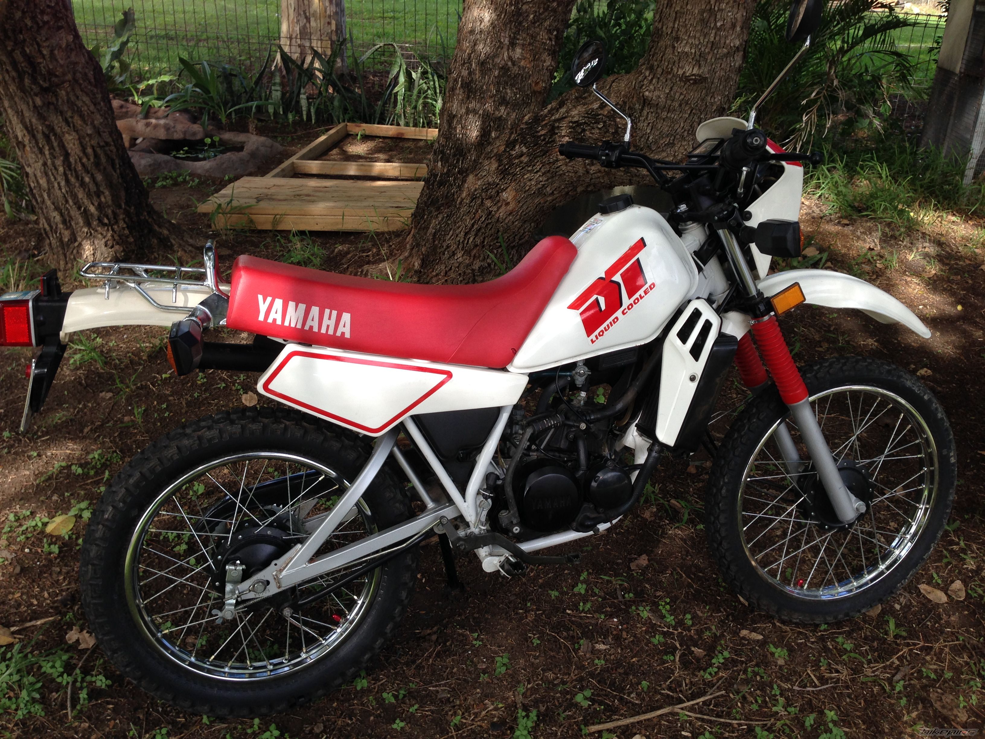 Photo 2665094