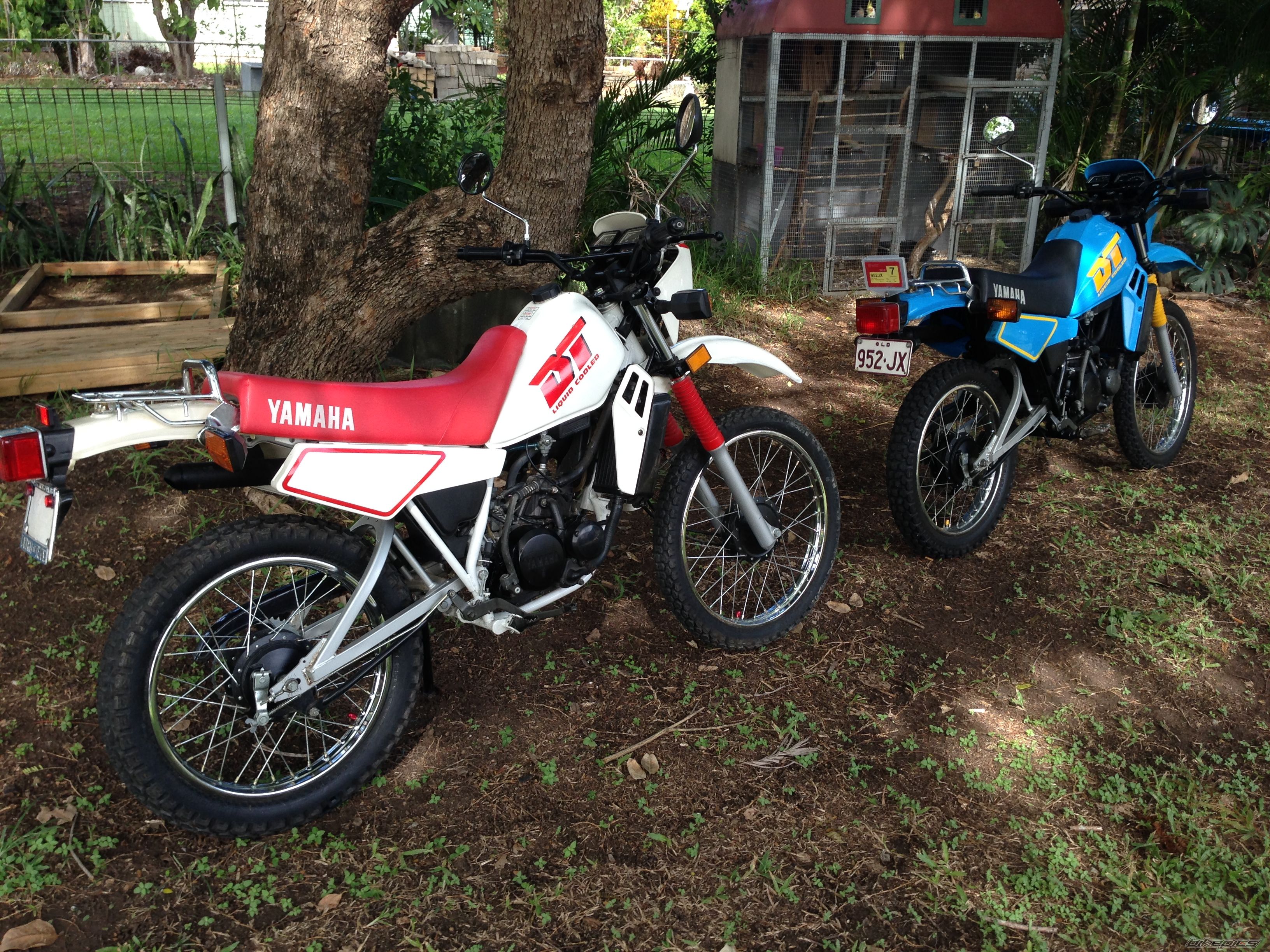 Photo 2665095