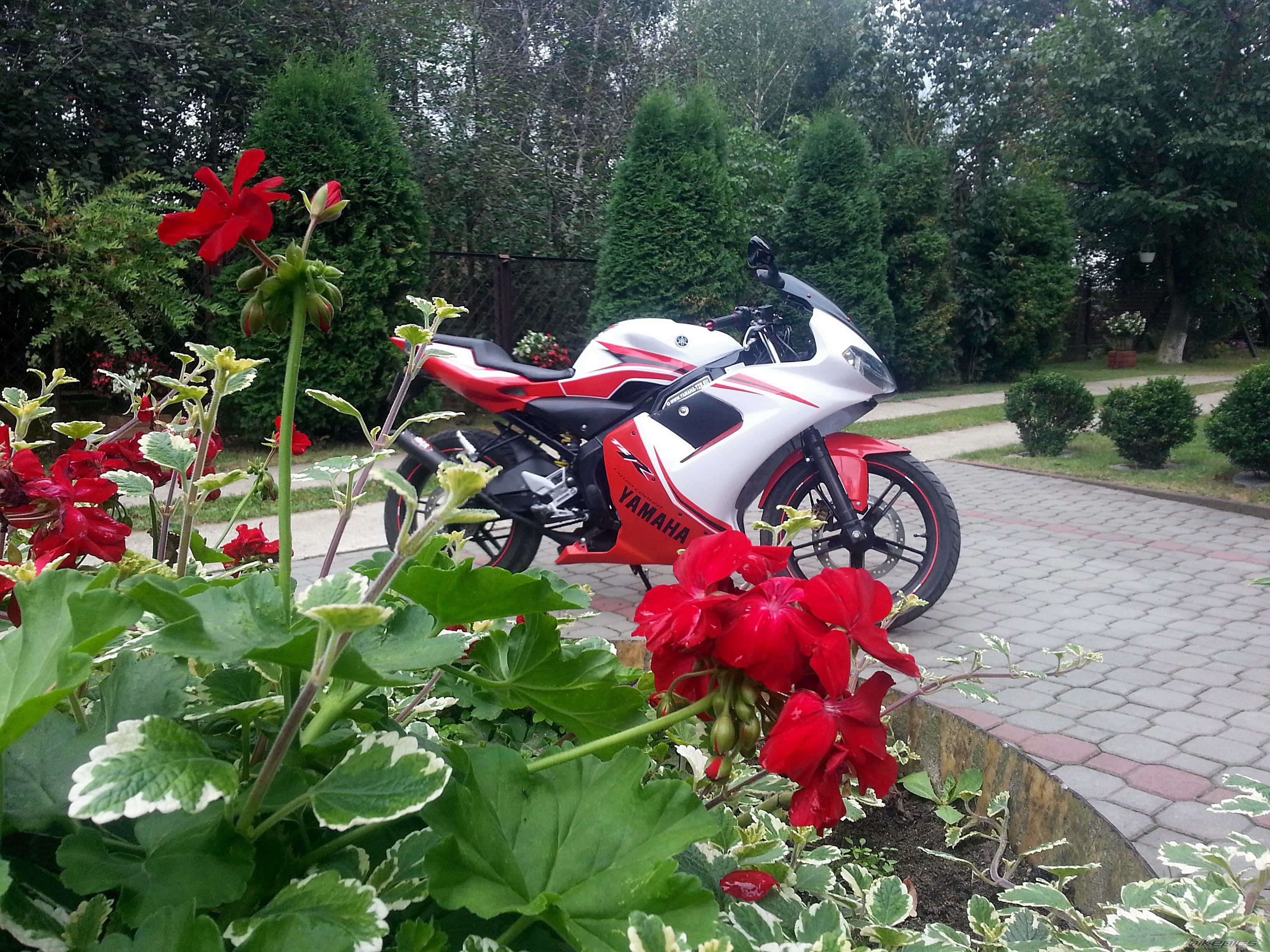 Photo 2665138
