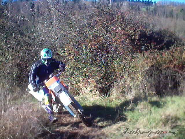 Bike Photo 266524
