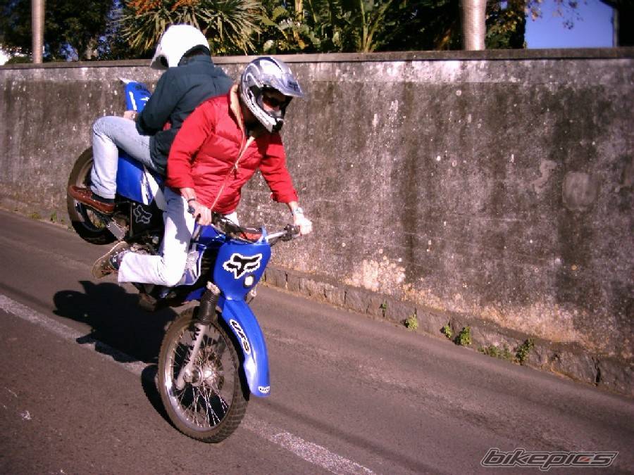 Photo 266525