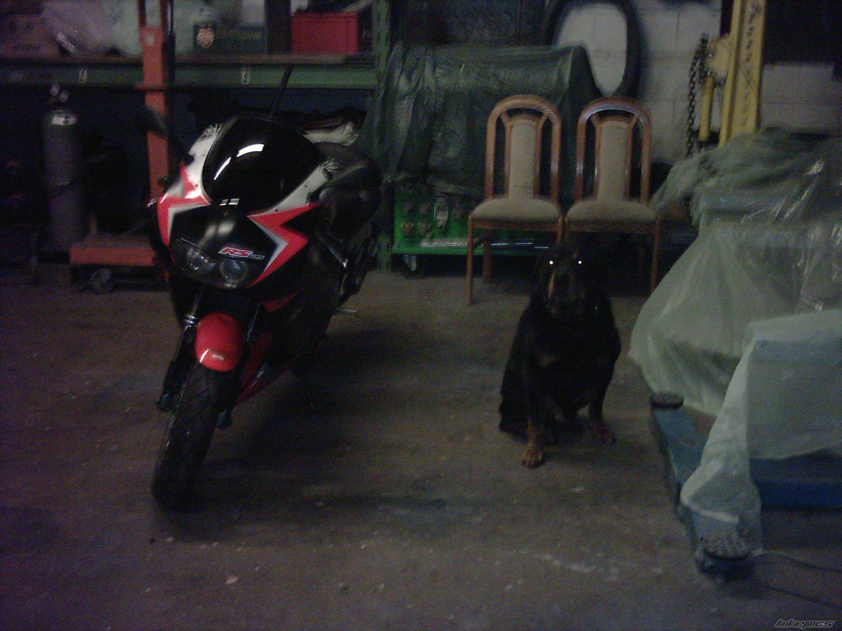 Photo 266529