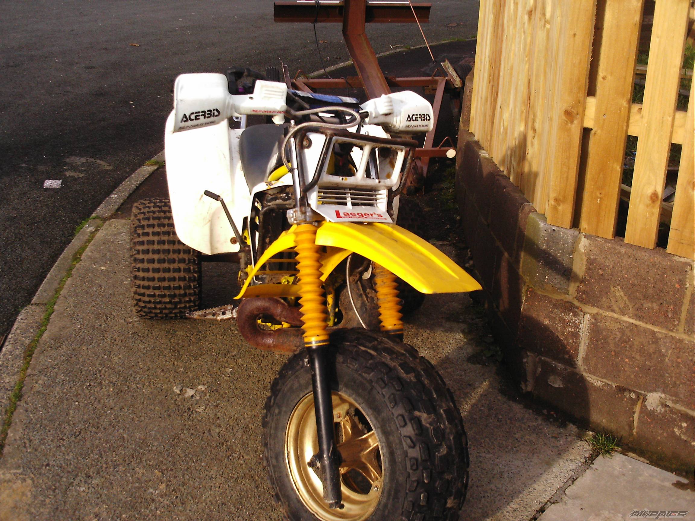 Photo 266530