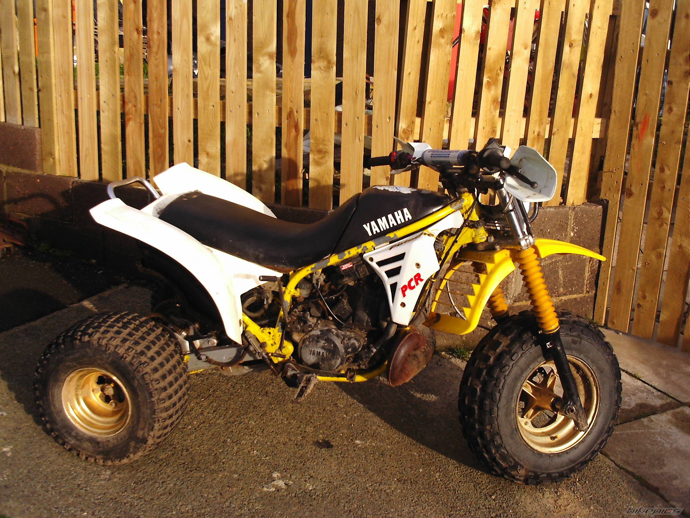 Photo 266533