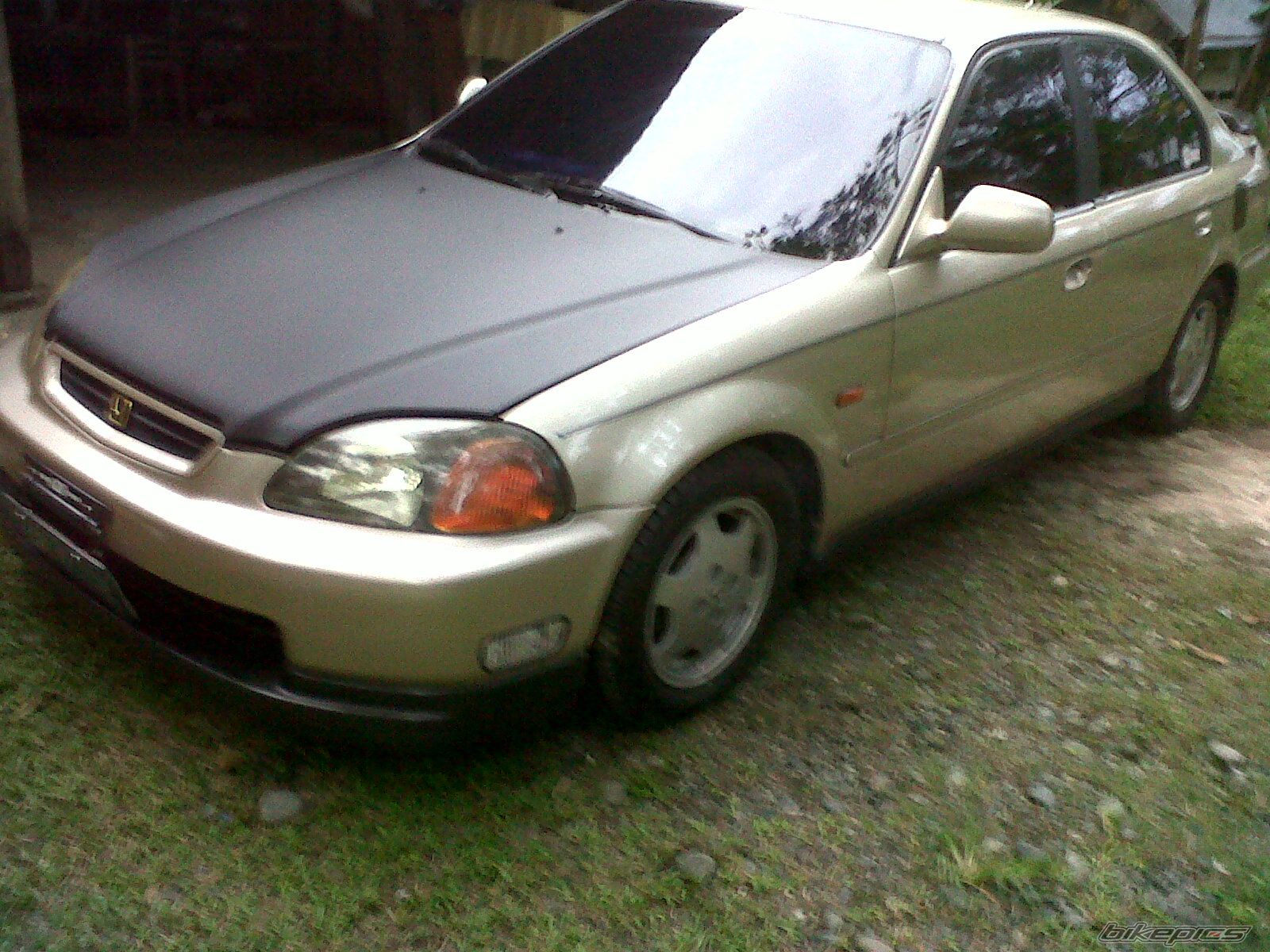 Photo 2665343