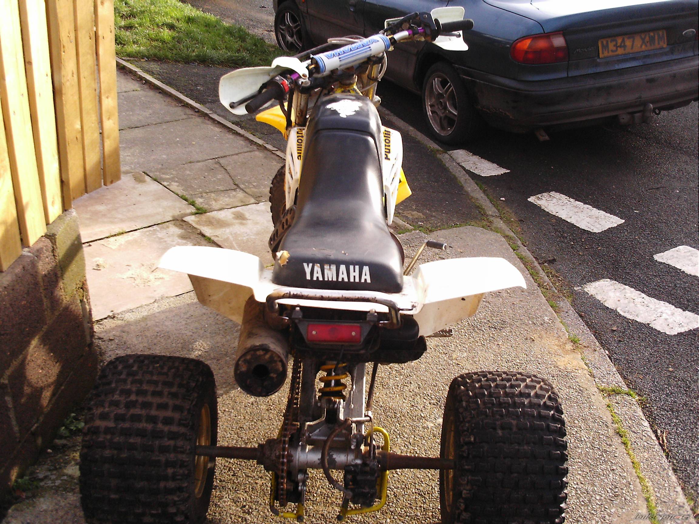Photo 266540