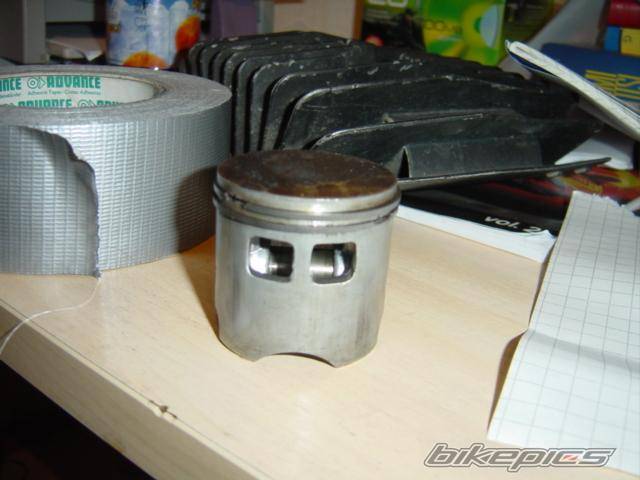 Photo 266545