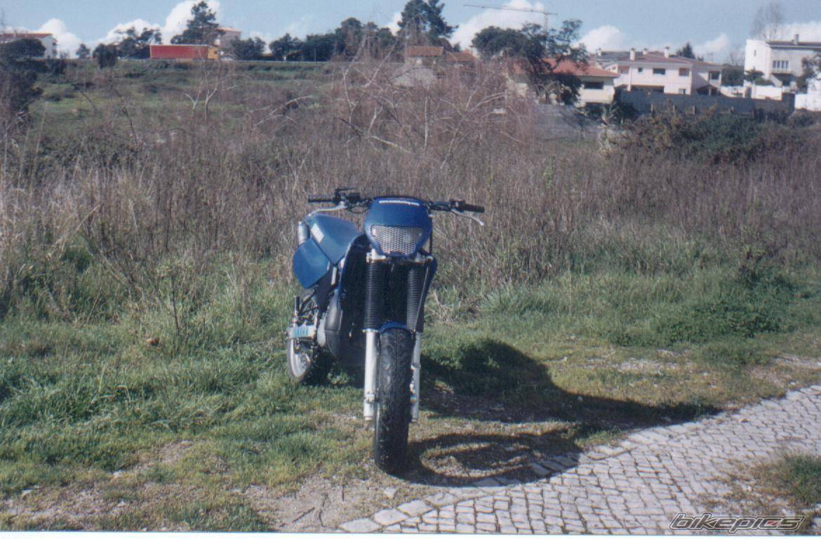Photo 26655