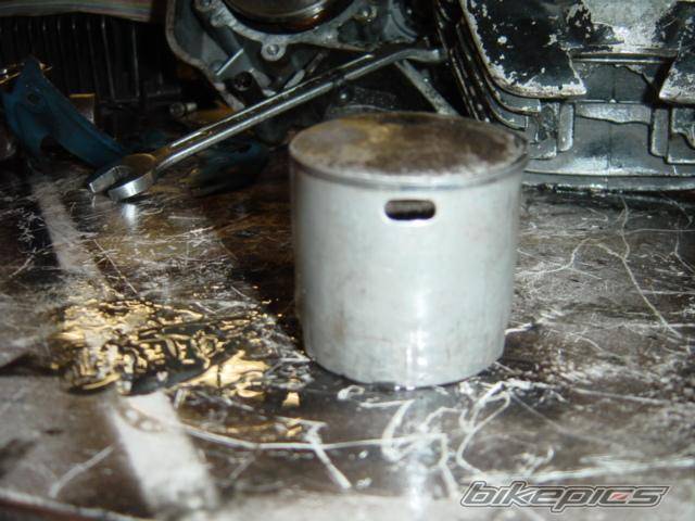 Photo 266561