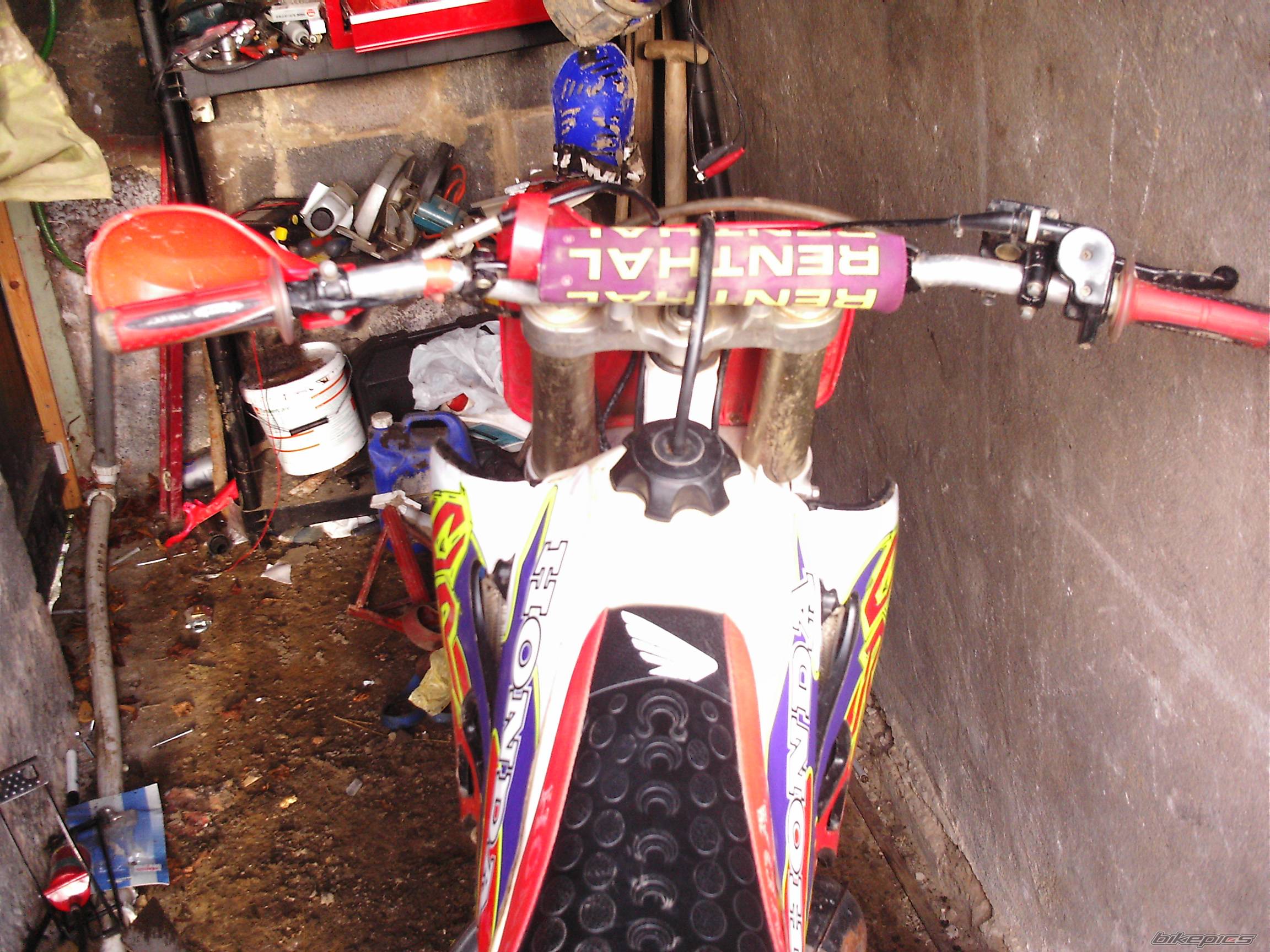 Photo 266562