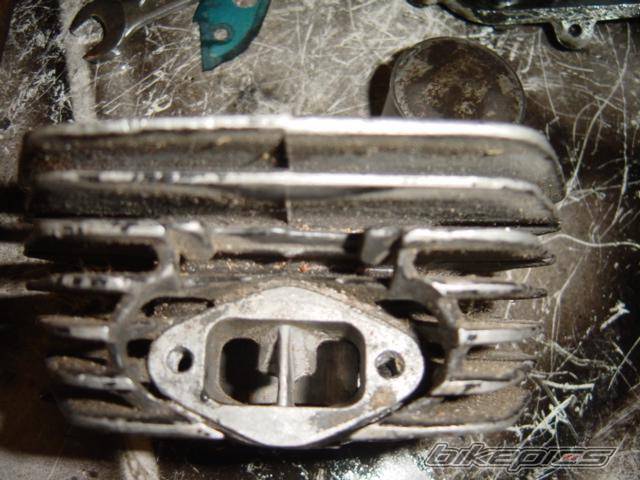 Photo 266563