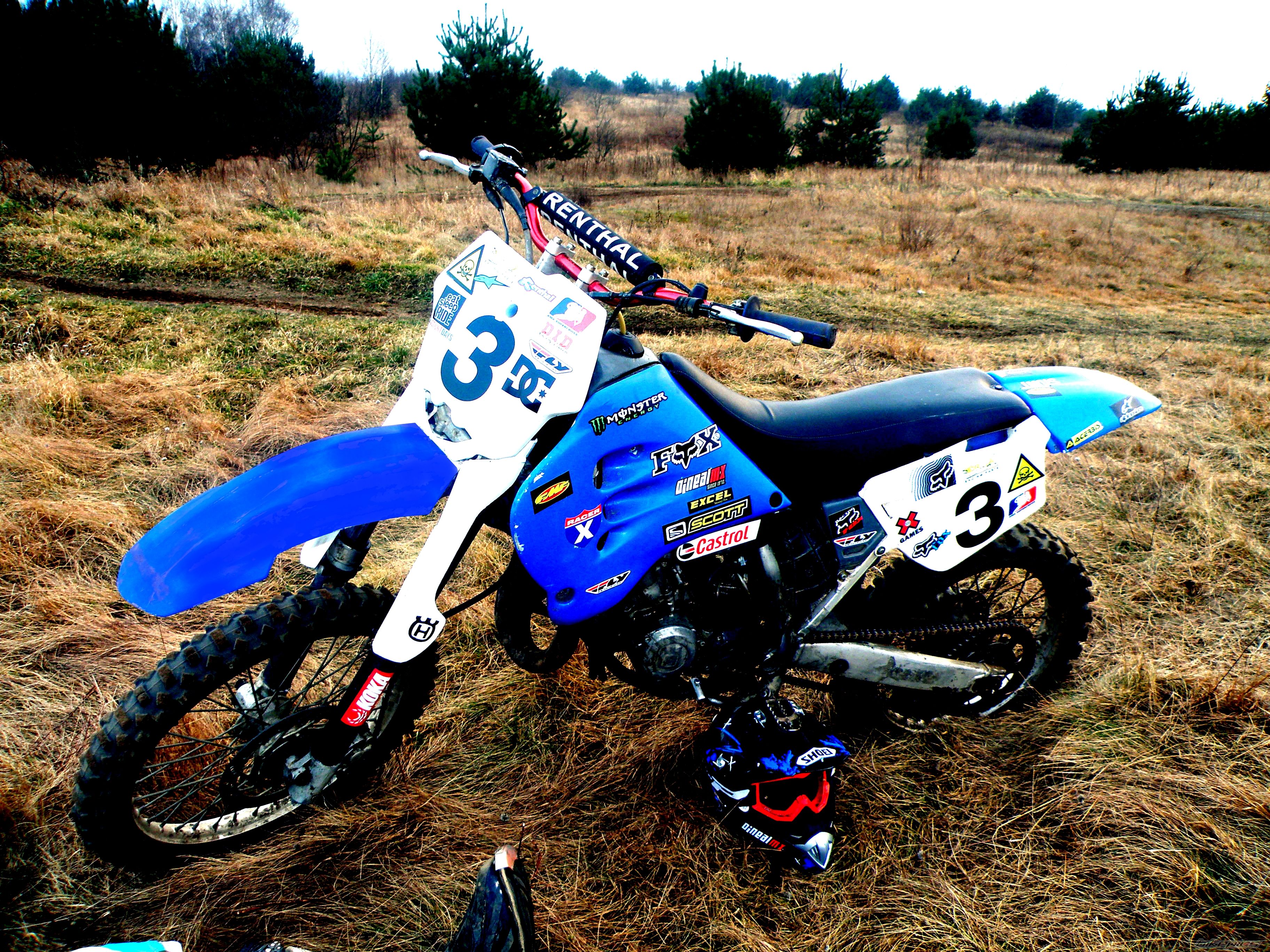 Photo 2665695