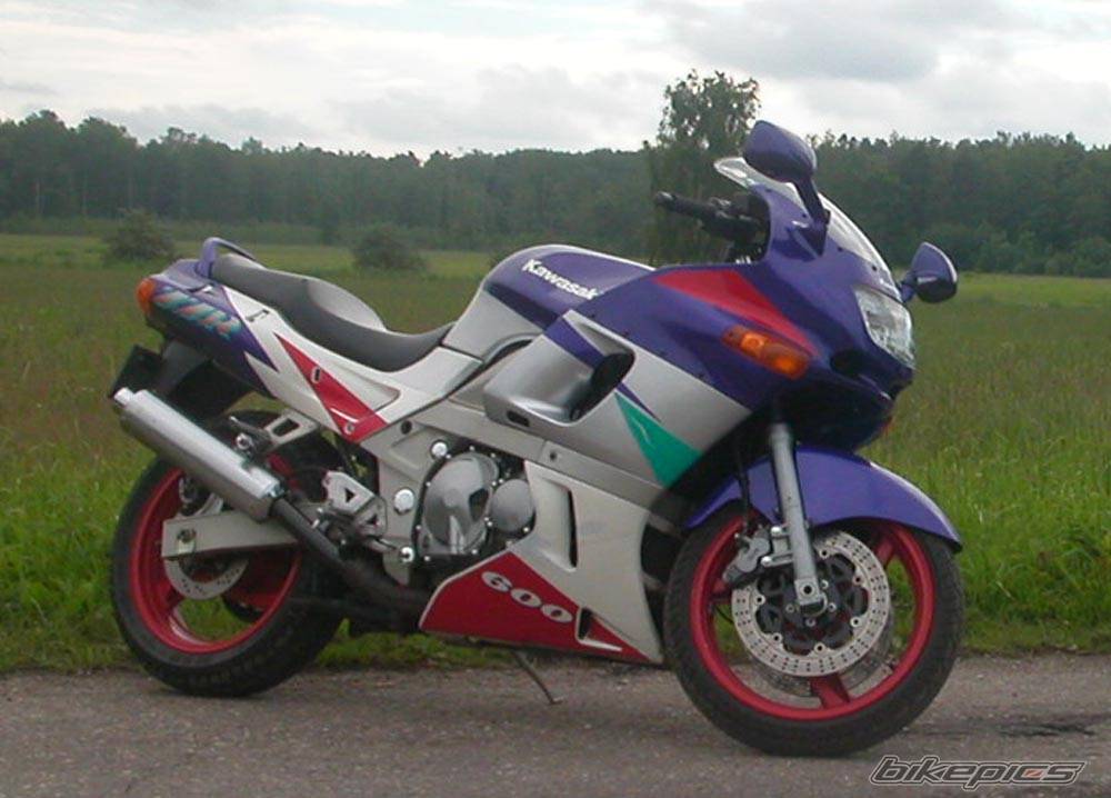 Photo 266587
