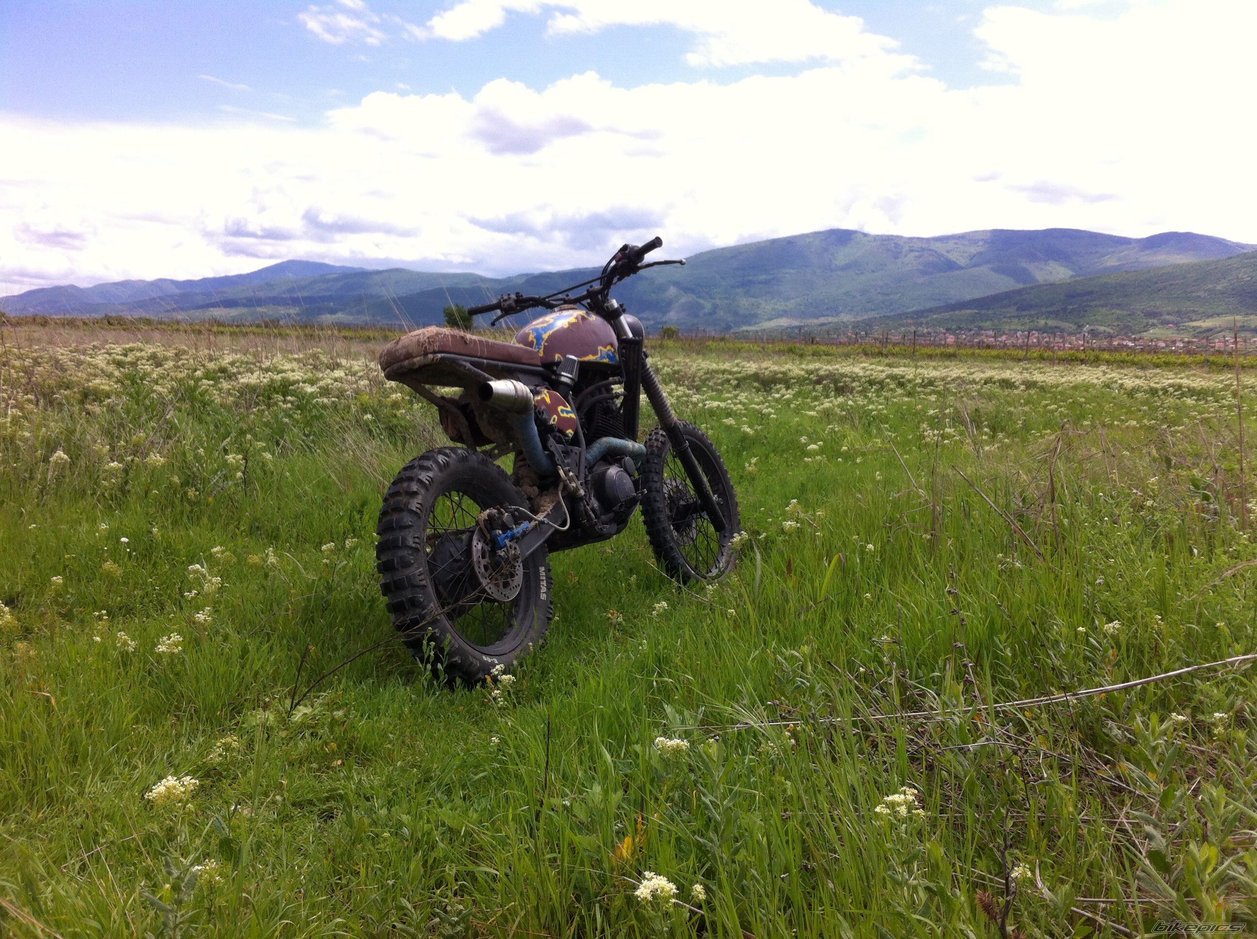 Photo 2665913