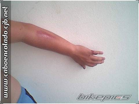 Photo 266600