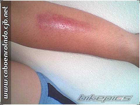 Bike Photo 266603