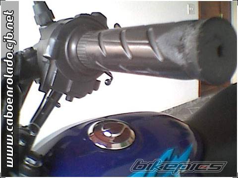 Photo 266606