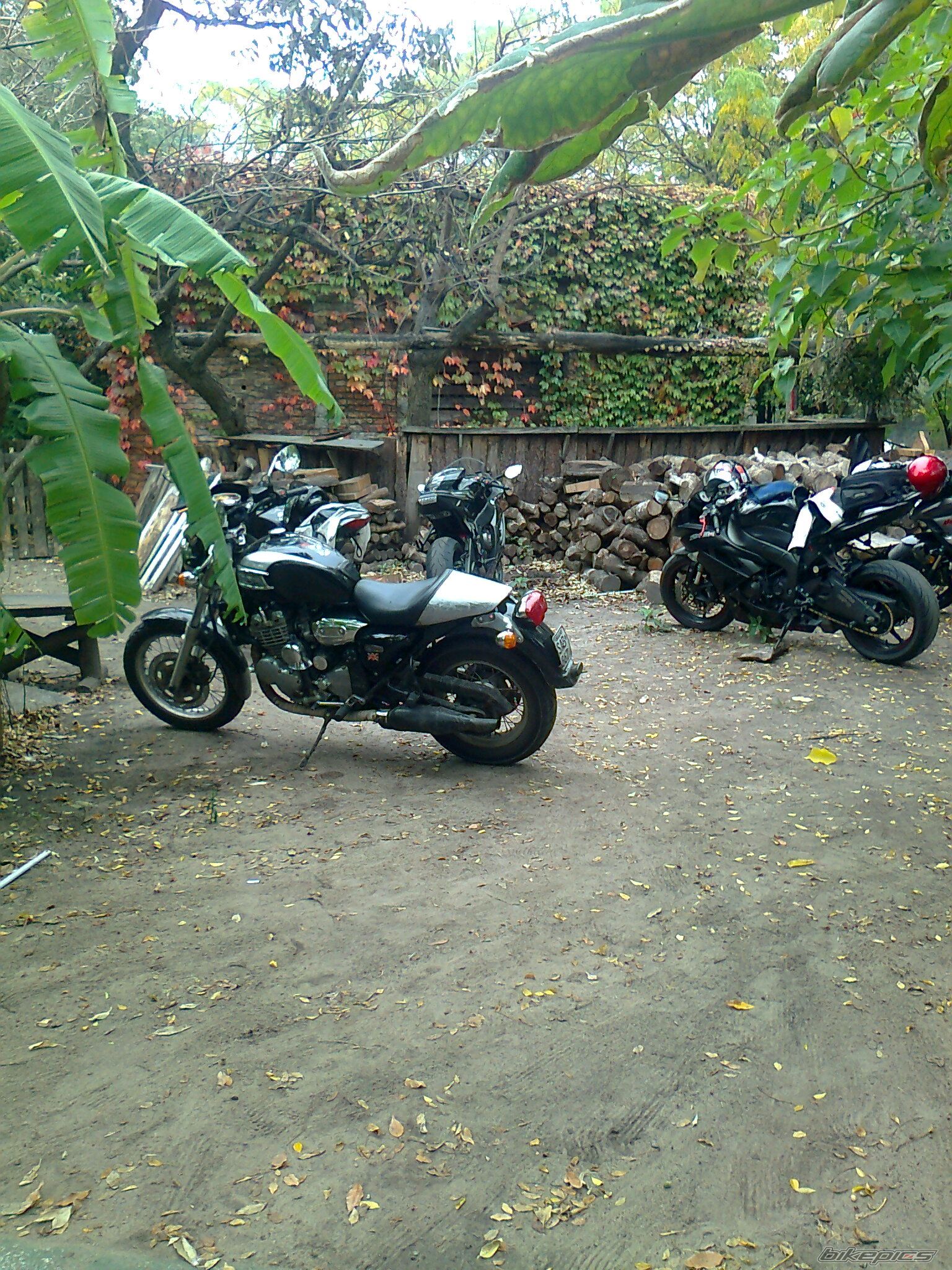 Bike Photo 2666098