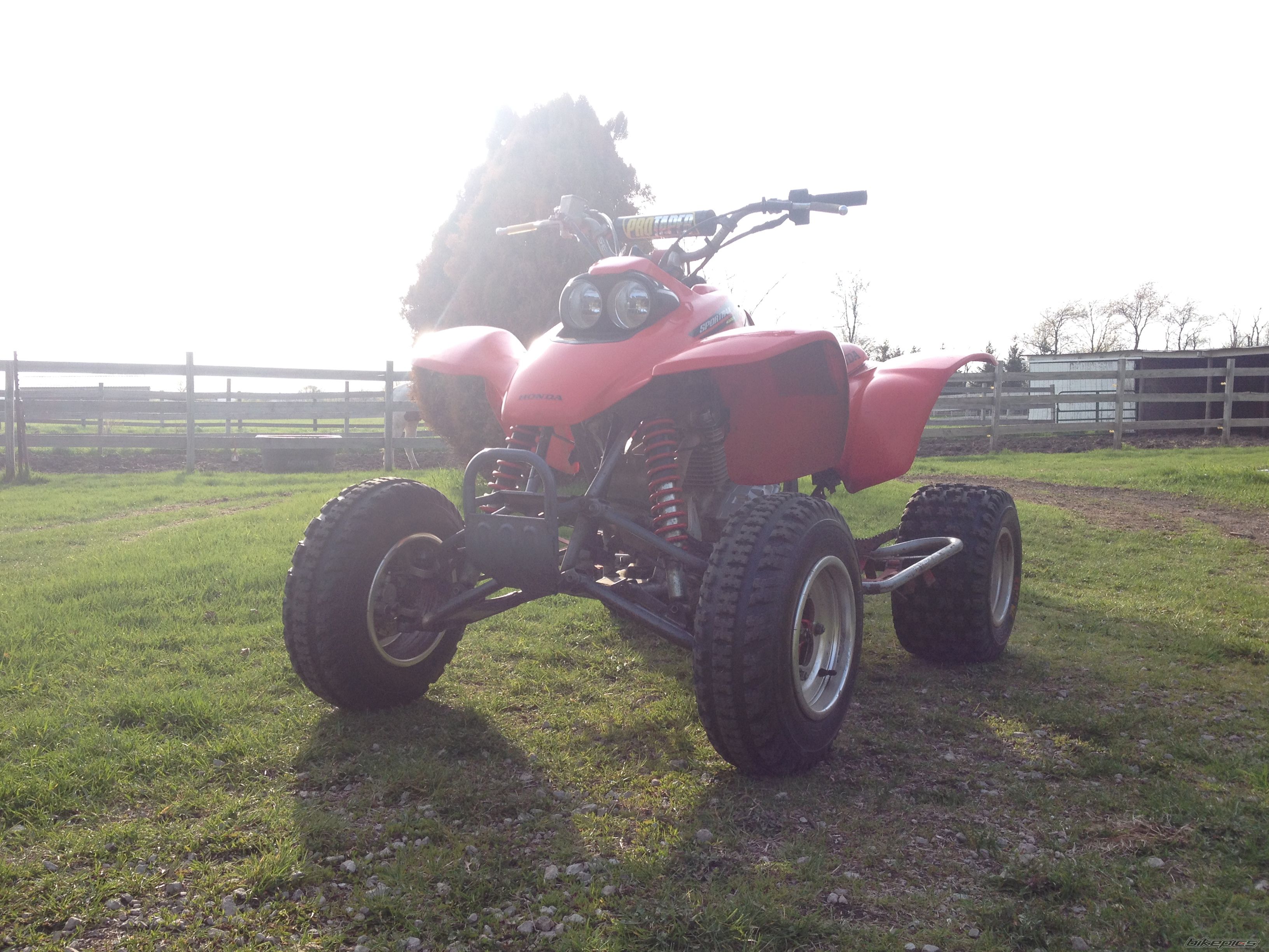 Photo 2666102