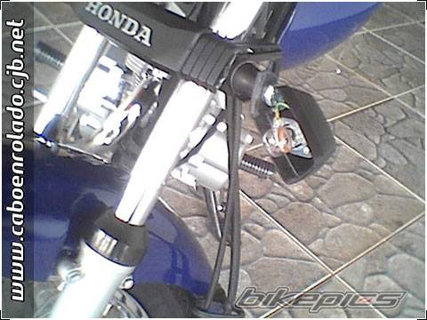 Photo 266619