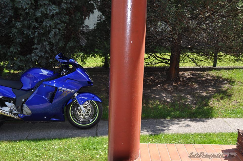 Photo 2666350