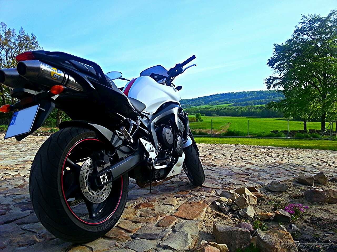 Photo 2666373