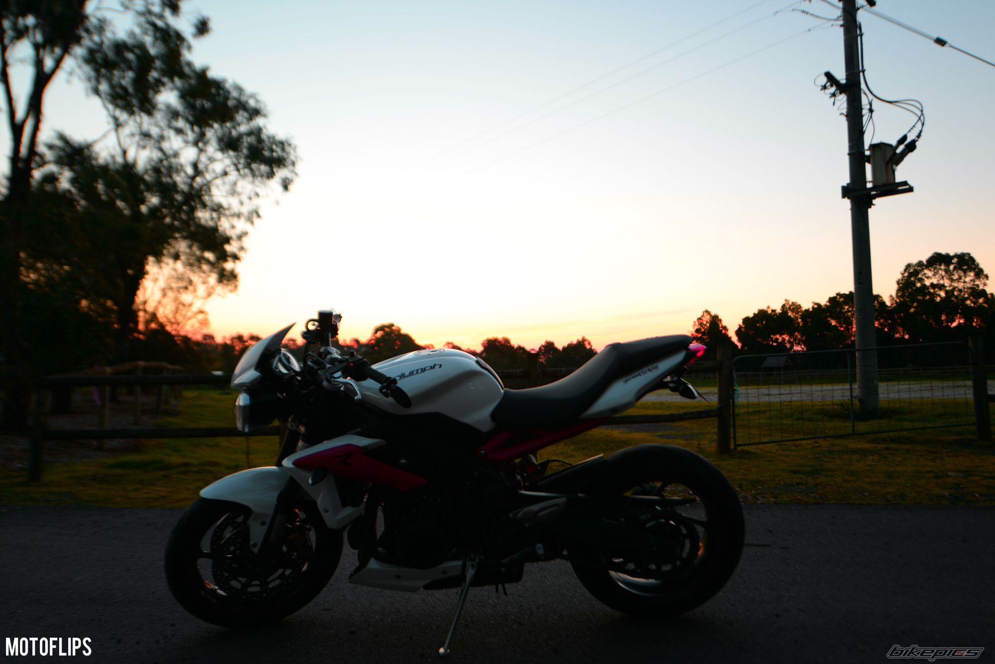 Photo 2666465