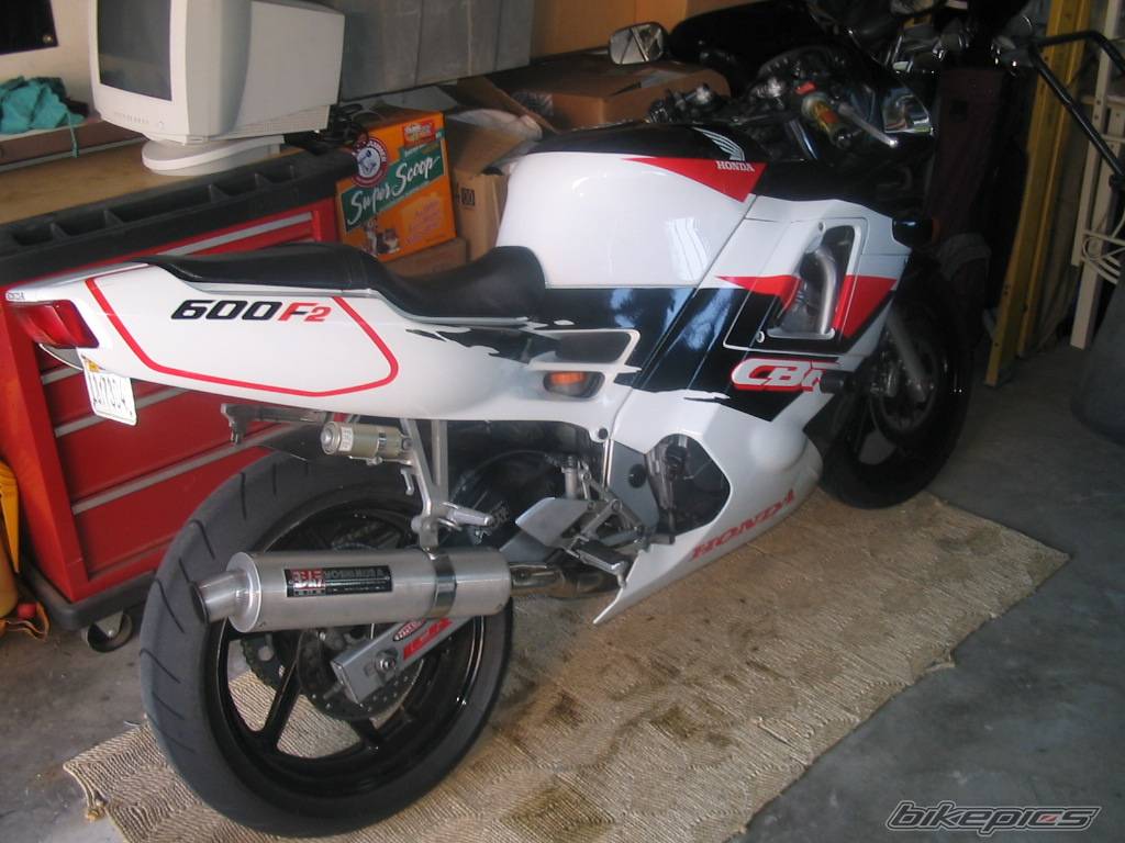 Photo 266655