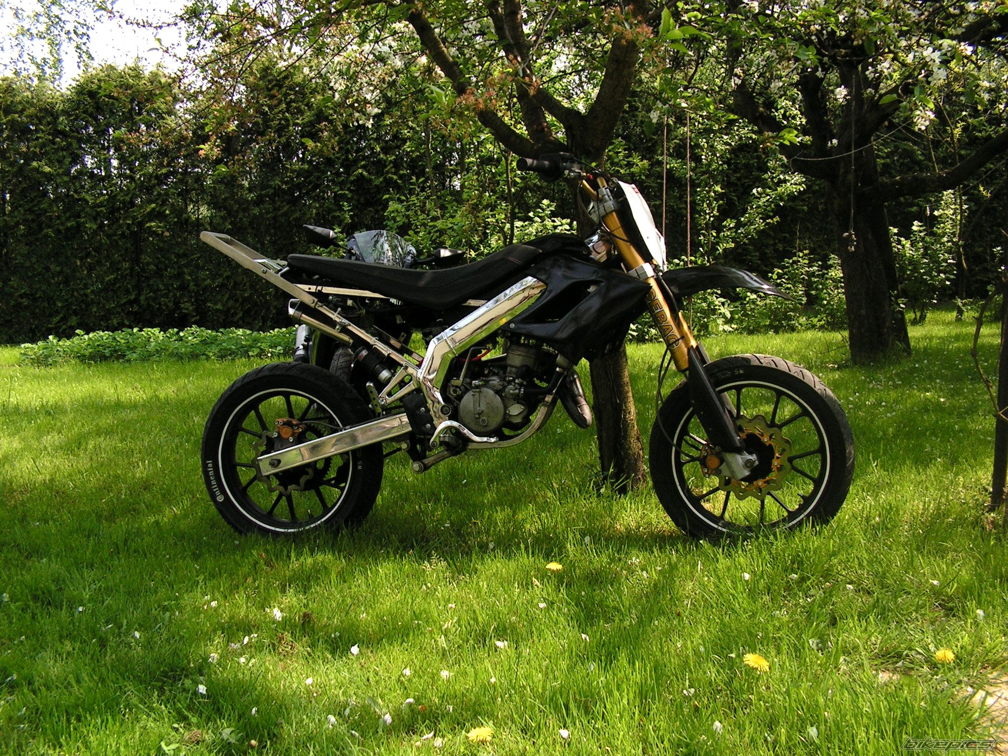 Photo 2666567
