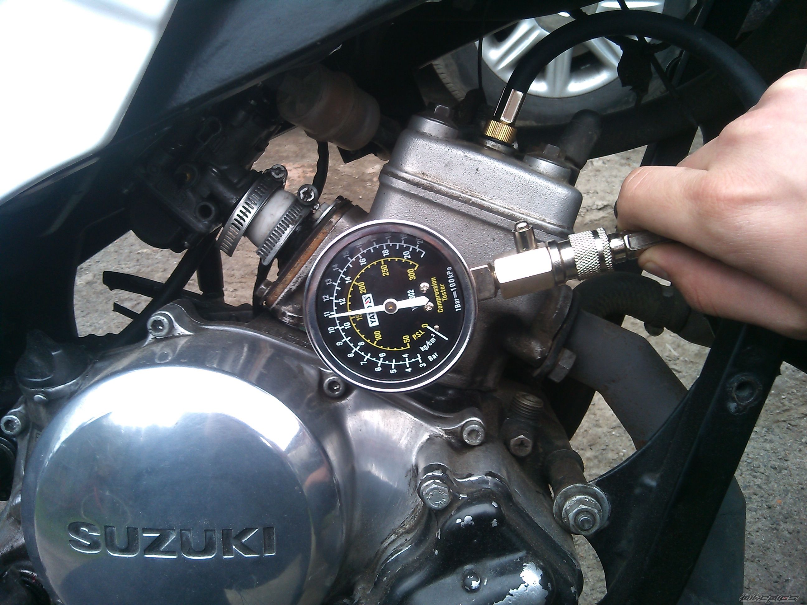 Photo 2666610