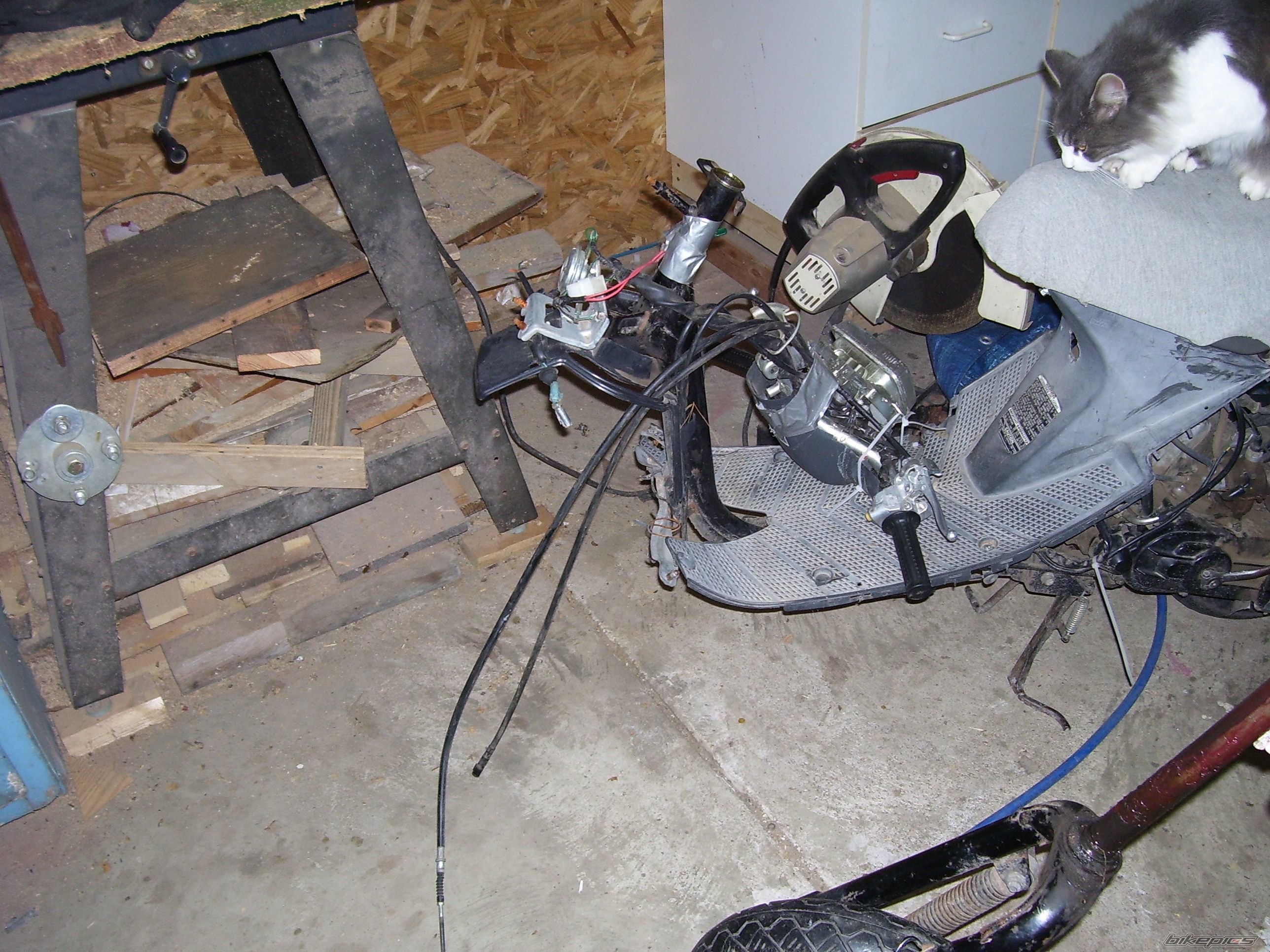 Photo 2666730