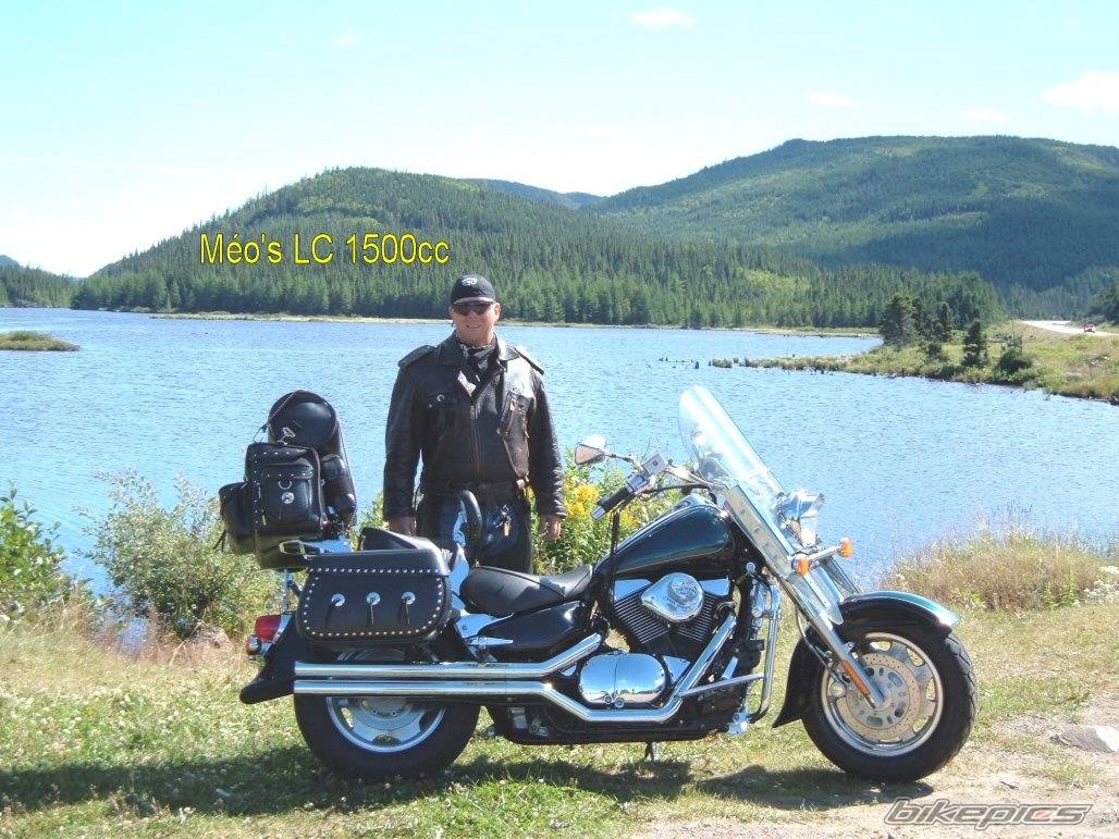 Photo 266674