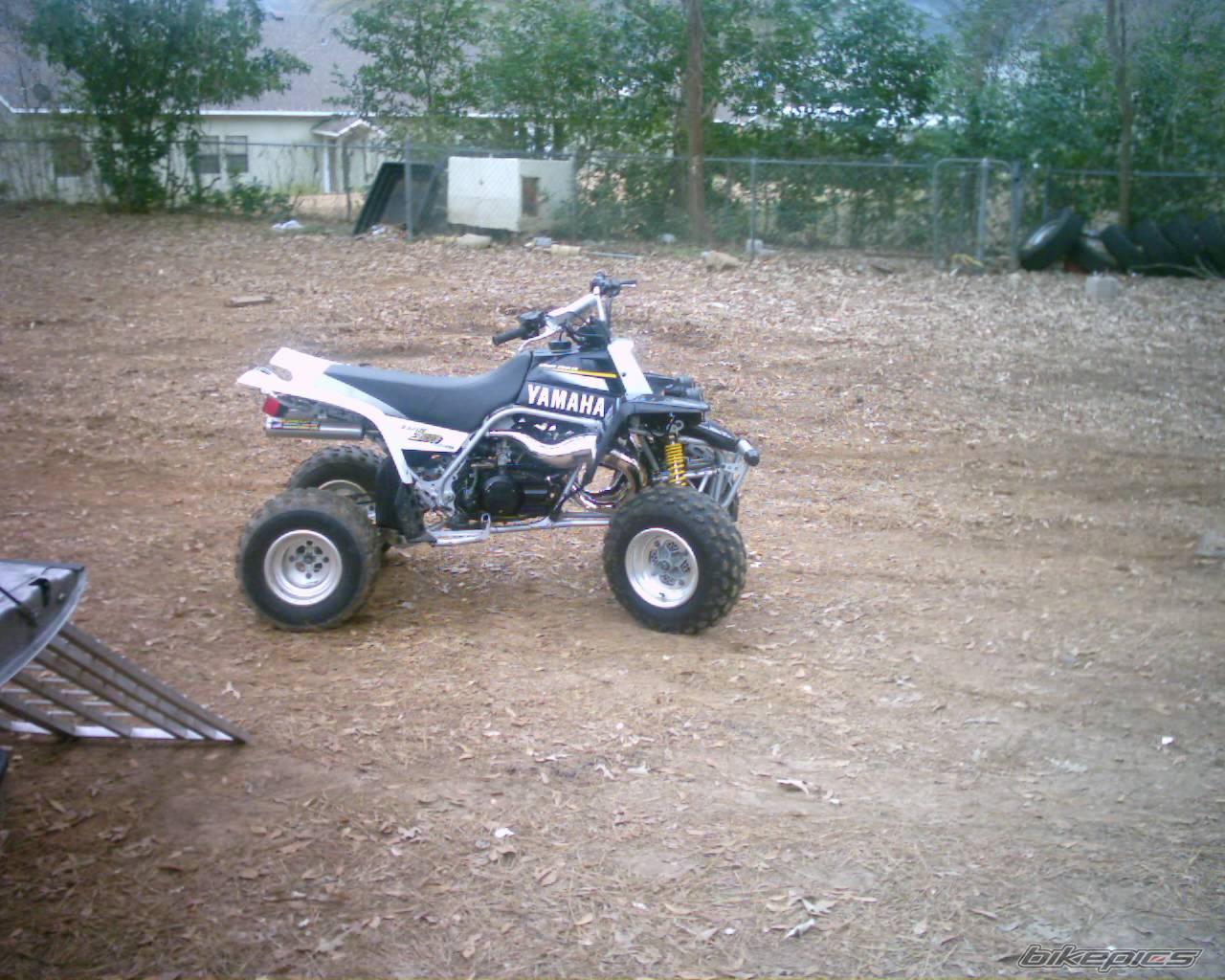 Photo 266675