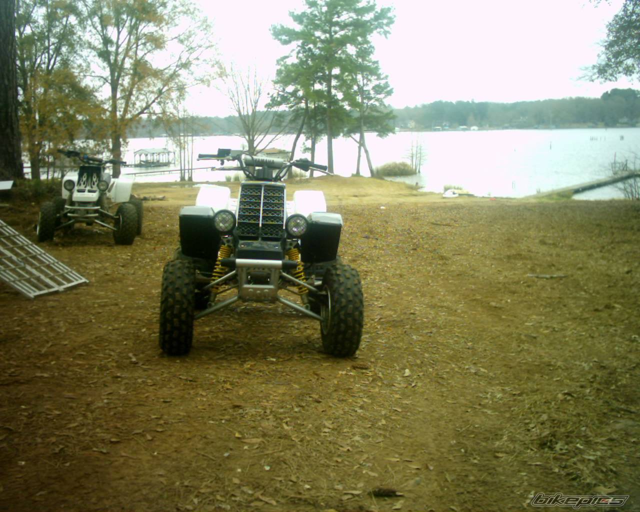 Photo 266679