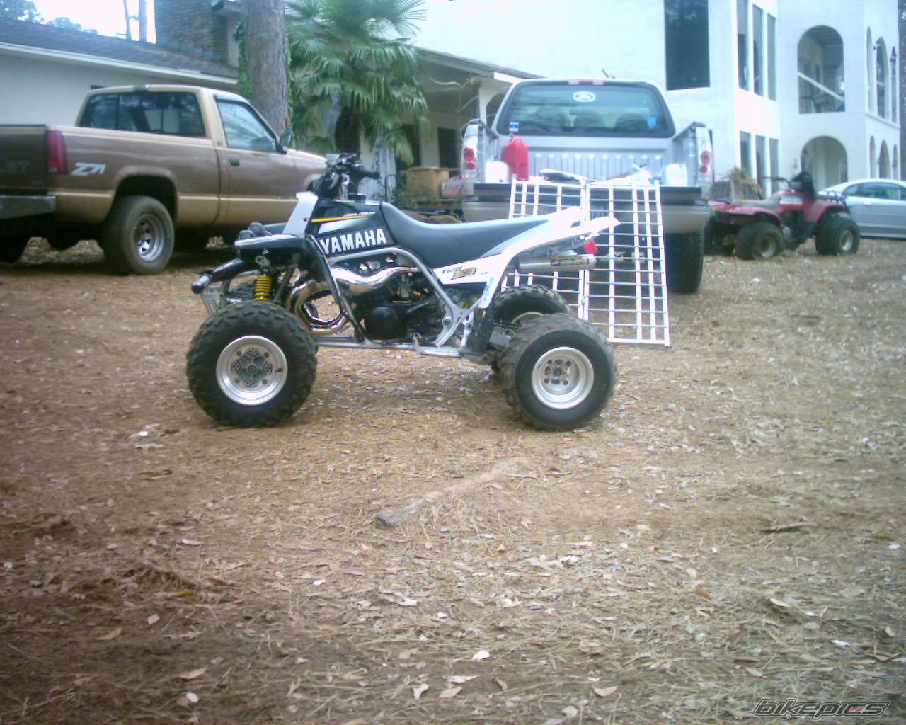 Photo 266681