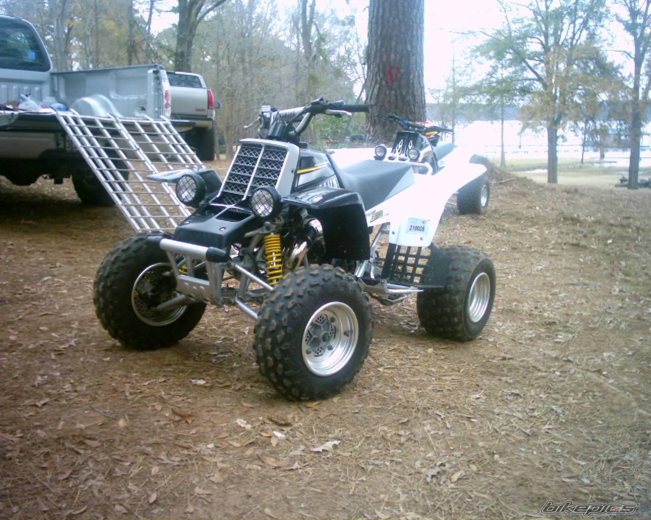 Photo 266683
