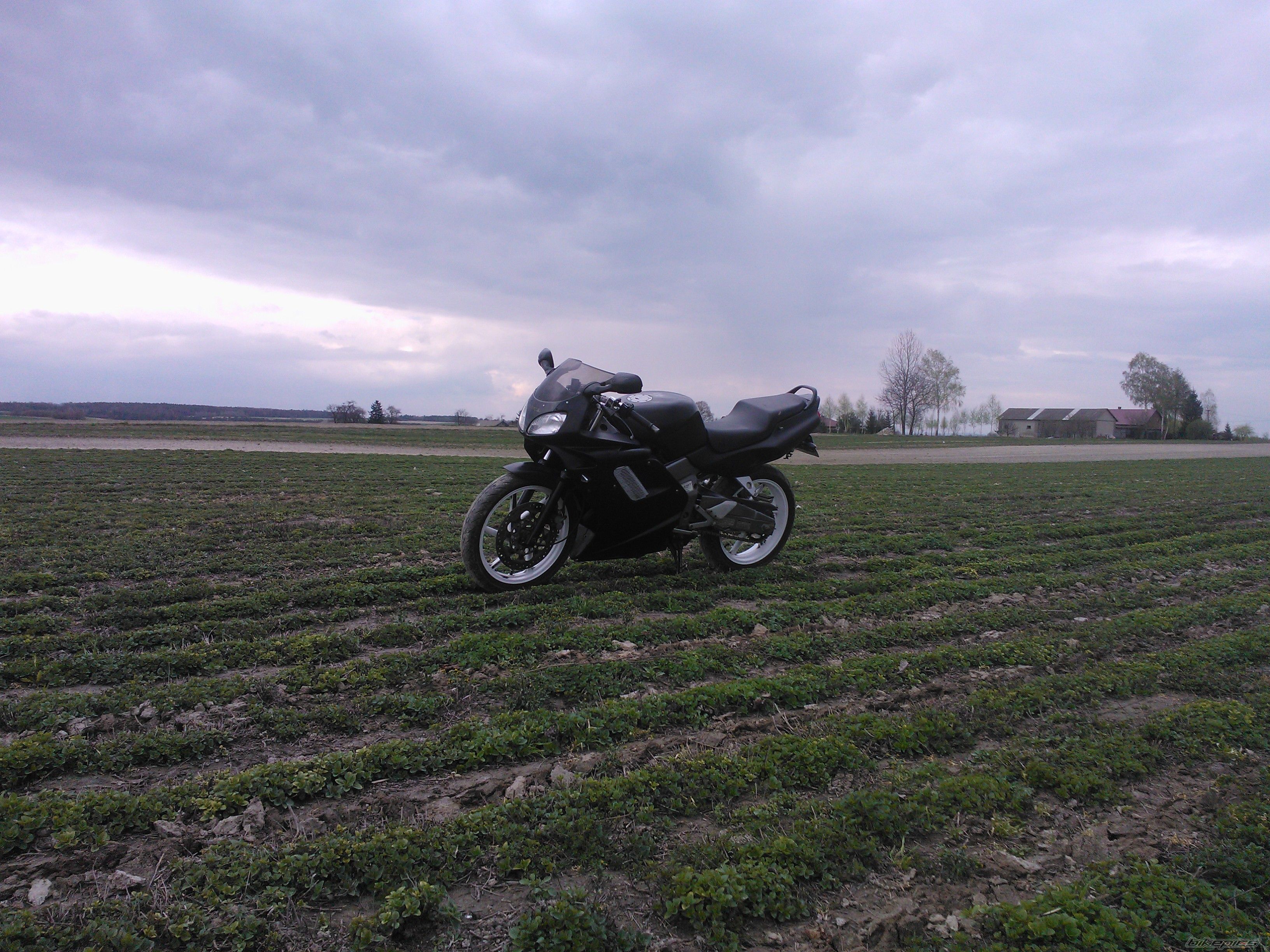 Photo 2666832