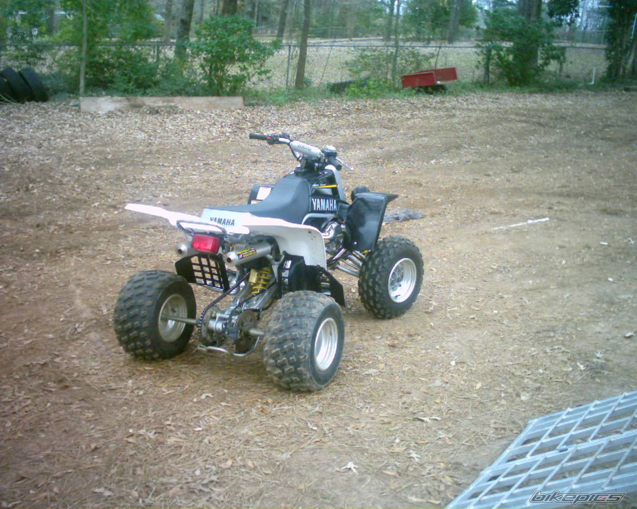 Photo 266685