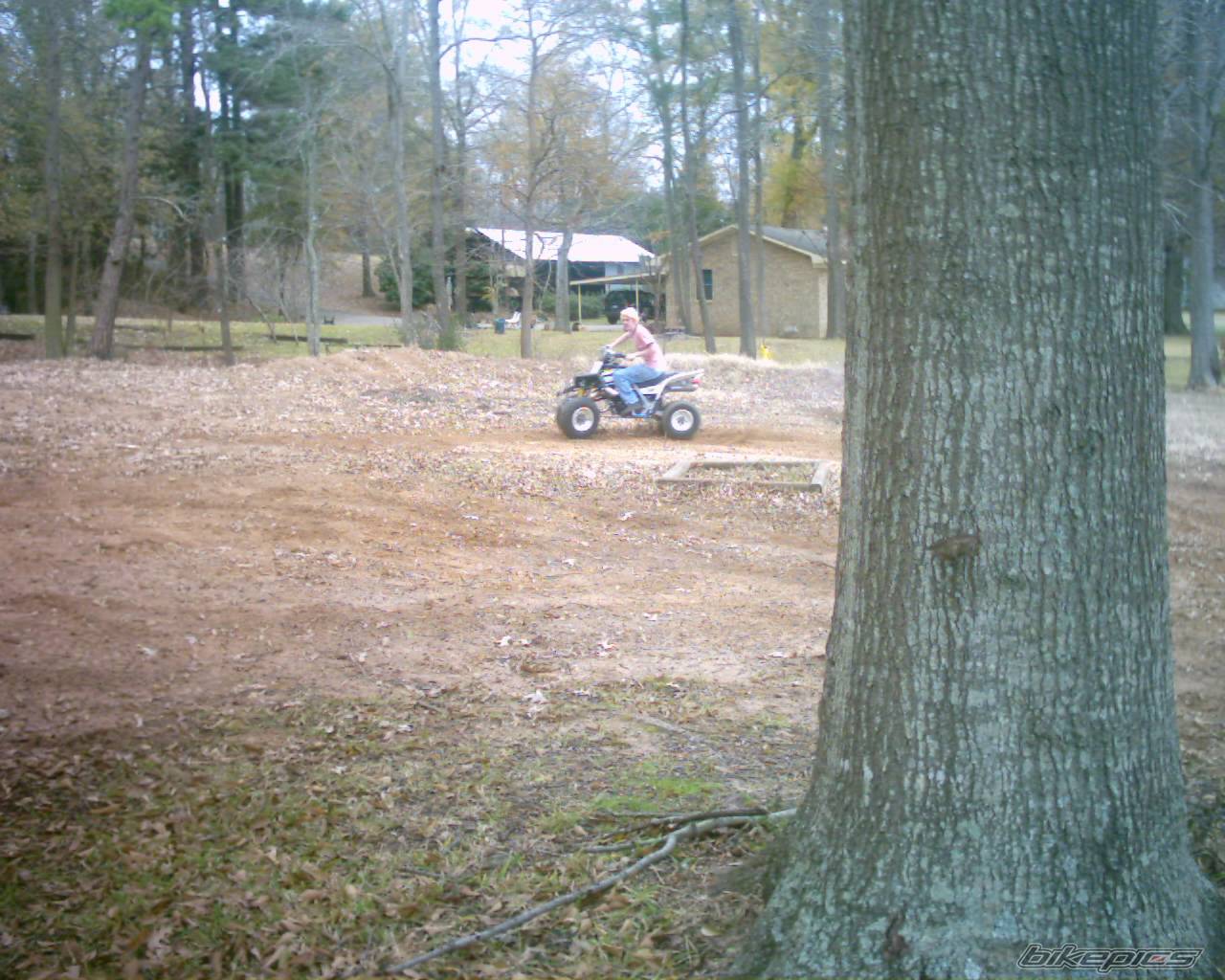 Photo 266687
