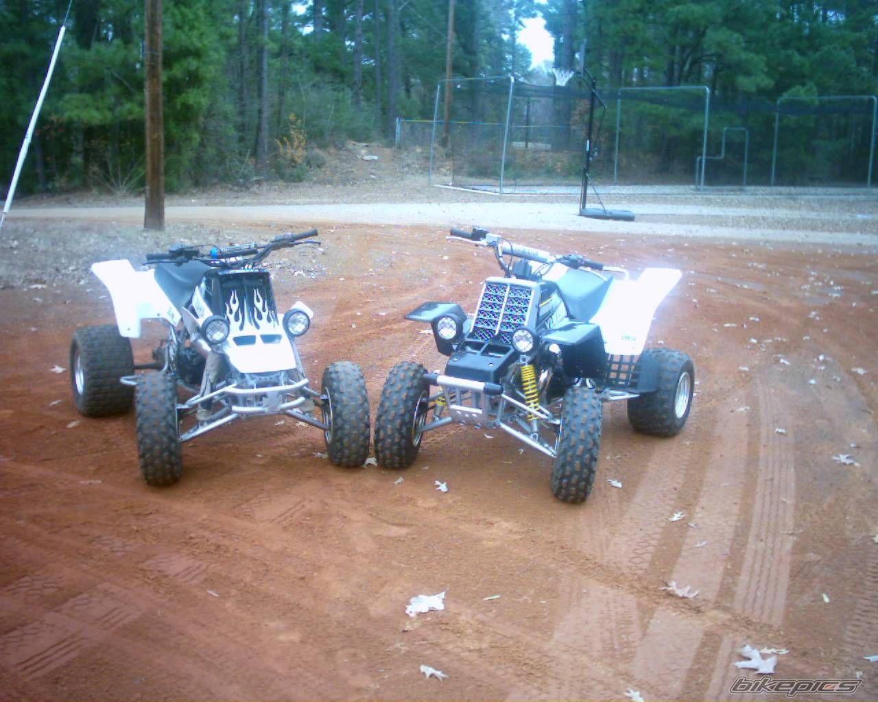 Photo 266688